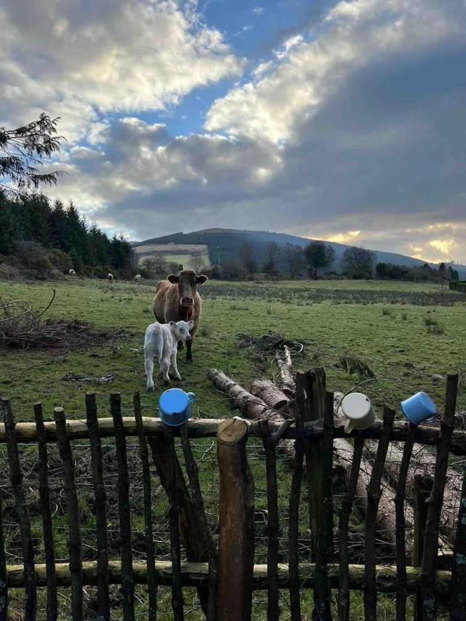 Aughavannagh Yurt Glamping *