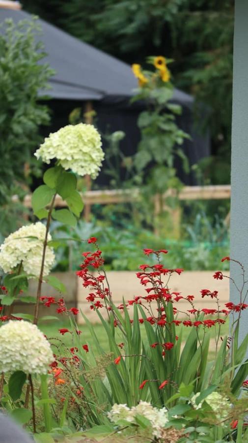 Luxuszelt Aughavannagh Yurt Glamping Aughrim